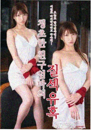 日本r级电影主题作品封面二